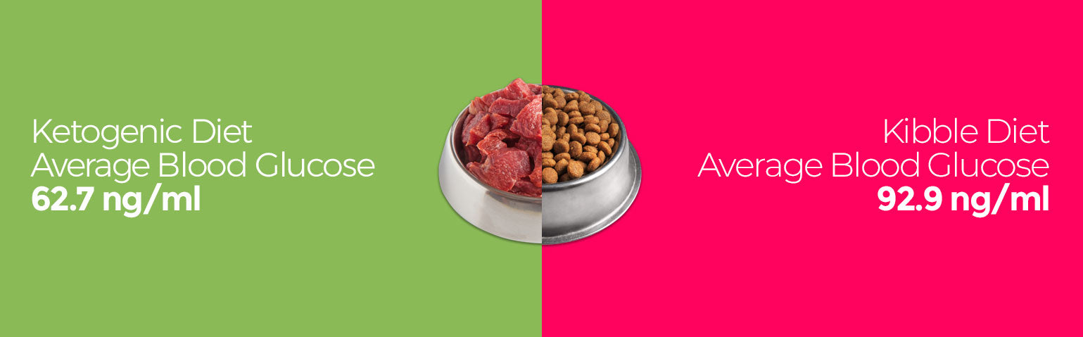 Keto Diet for Dogs